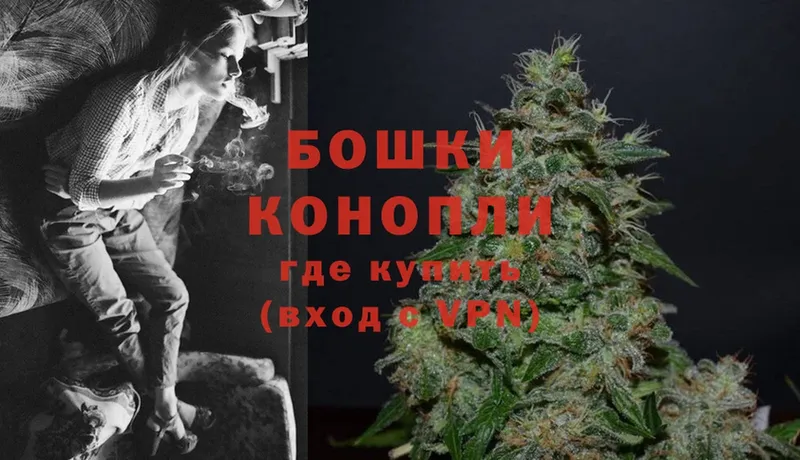 Каннабис OG Kush  Волосово 